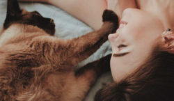 Пет-терапия: как животные улучшают психическое здоровье человека